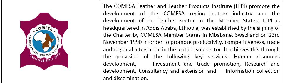 COMESA Specialized Institutions2